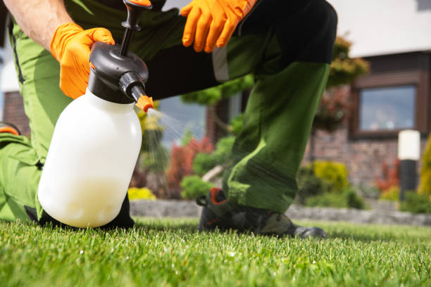 Trusted Monessen, PA Pest Control Experts